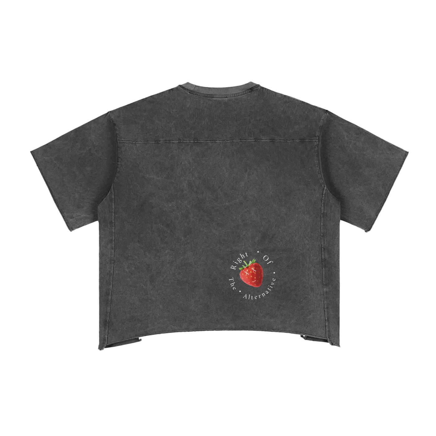 ROTA “Frost Fade” Tee | Snow Washed Loose Fit T-Shirt – Gender Neutral